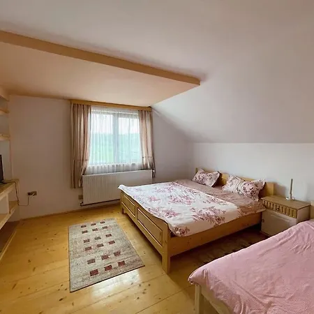 Casa La Doi Nuci Guest house