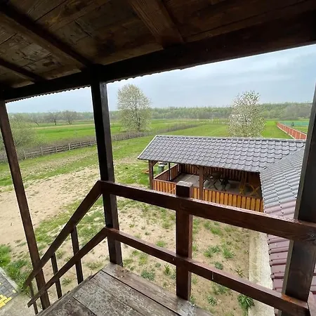 Casa La Doi Nuci Guest house
