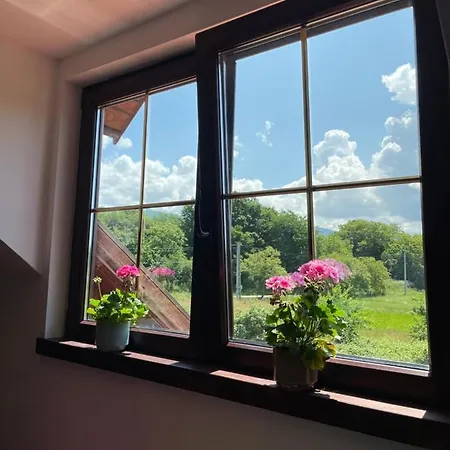 Casa La Doi Nuci Biharfenyves