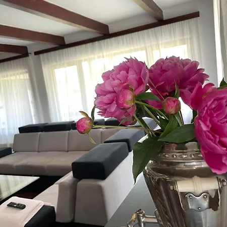 Guest house Casa La Doi Nuci Bradet (Bihor)